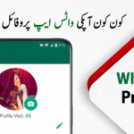 WhatsApp Profile Viewer