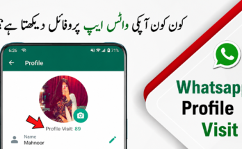 WhatsApp Profile Viewer