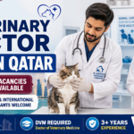 Professional veterinary job recruitment banner promoting Veterinary Doctor Jobs in Qatar. Two South Asian veterinarians in white lab coats stand inside a modern veterinary clinic, one examining a cat and the other holding a golden retriever. Large bold text reads “Veterinary Doctor Jobs in Qatar” with “6 Vacancies Available.” The Doha, Qatar skyline appears in the background alongside the Qatar flag. Additional information highlights full-time permanent employment, DVM qualification requirements, 3+ years of experience, attractive salary and benefits, and applications open to both local and international candidates. The design uses blue, white, and maroon colors with veterinary and healthcare-themed graphics.