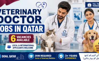 Professional veterinary job recruitment banner promoting Veterinary Doctor Jobs in Qatar. Two South Asian veterinarians in white lab coats stand inside a modern veterinary clinic, one examining a cat and the other holding a golden retriever. Large bold text reads “Veterinary Doctor Jobs in Qatar” with “6 Vacancies Available.” The Doha, Qatar skyline appears in the background alongside the Qatar flag. Additional information highlights full-time permanent employment, DVM qualification requirements, 3+ years of experience, attractive salary and benefits, and applications open to both local and international candidates. The design uses blue, white, and maroon colors with veterinary and healthcare-themed graphics.